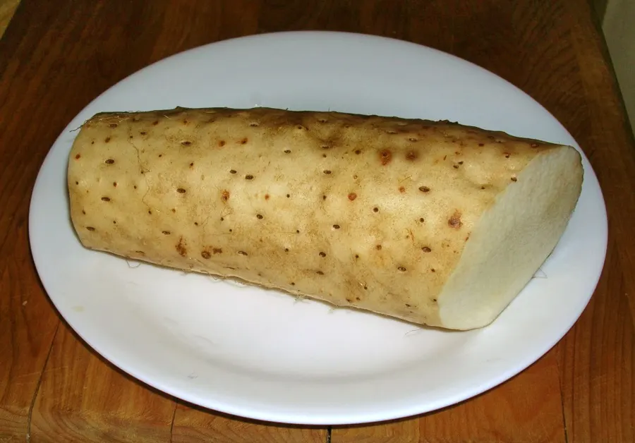 Ямс китайский